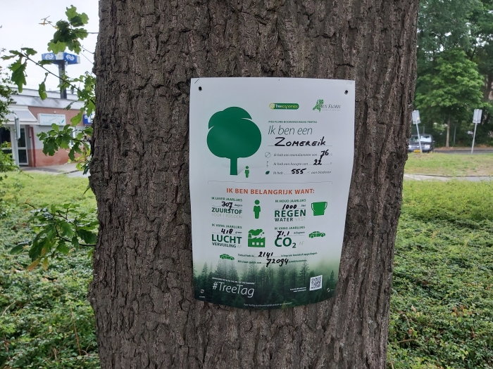 TreeTag op een van de eiken op het Stationsplein