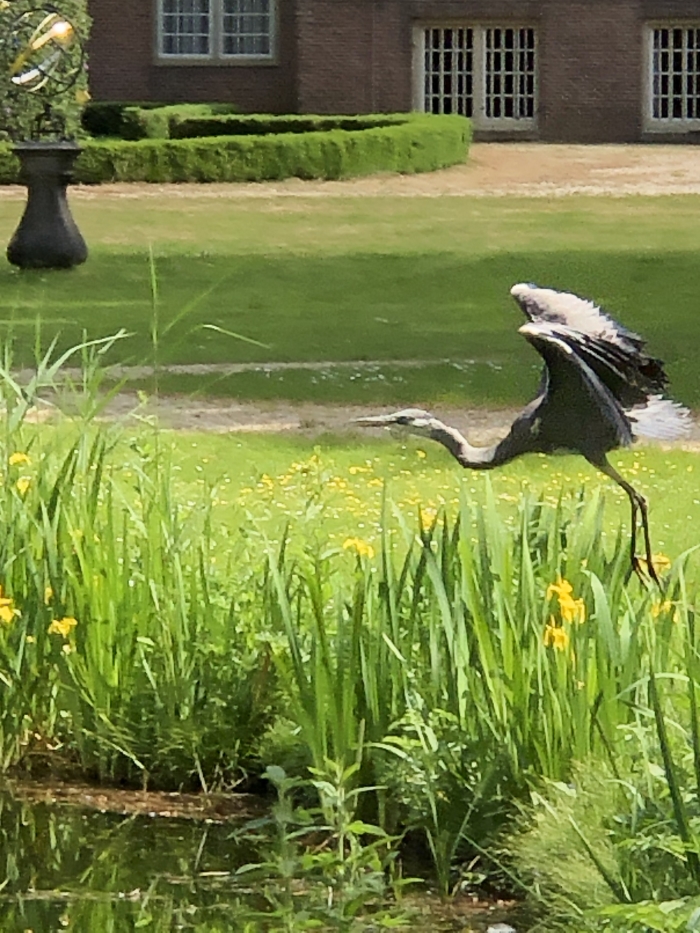 Reiger