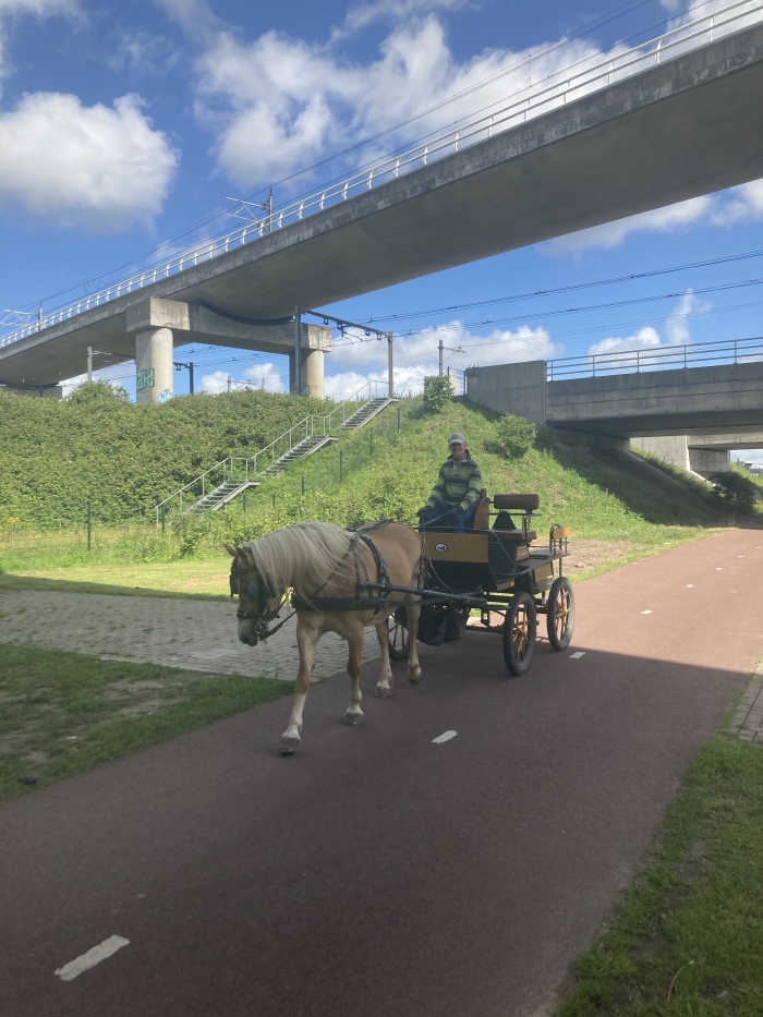 paard en wagen onder knooppunt van spoorwegen