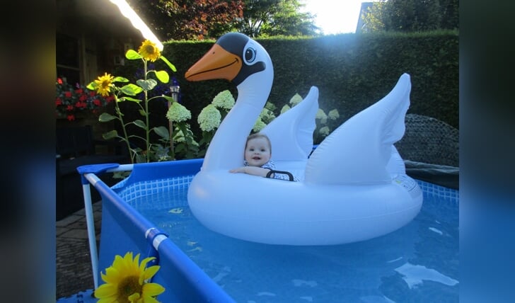 Op deze foto ligt Annelin van den Brink uit Lunteren heerlijk te dobberen op de zwaan in het zwembad om wat verkoeling te zoeken! Lekker thuis in eigen tuin. 