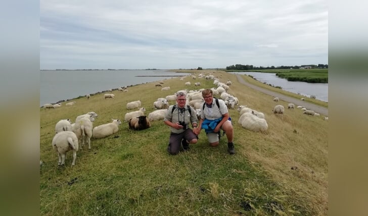 Deze foto is gemaakt langs de IJsselmeerkust tussen Stavoren en
Hindeloopen met Rian en Yeb, 27 juli 2020.