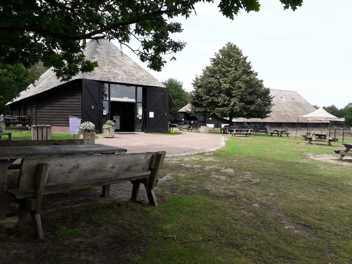 Volop zomeractiviteiten bij de schaapskooi in Ermelo