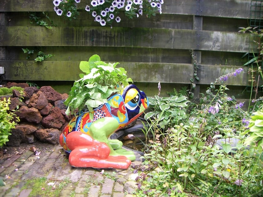 Afbeelding