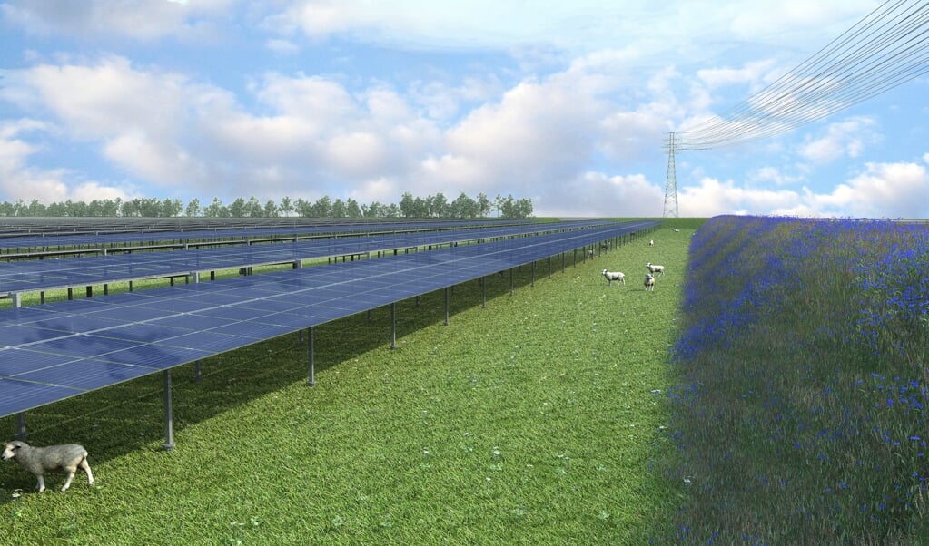 Impressie van het toekomstige zonnepark Brandelwal, bij Kootwijkerbroek.