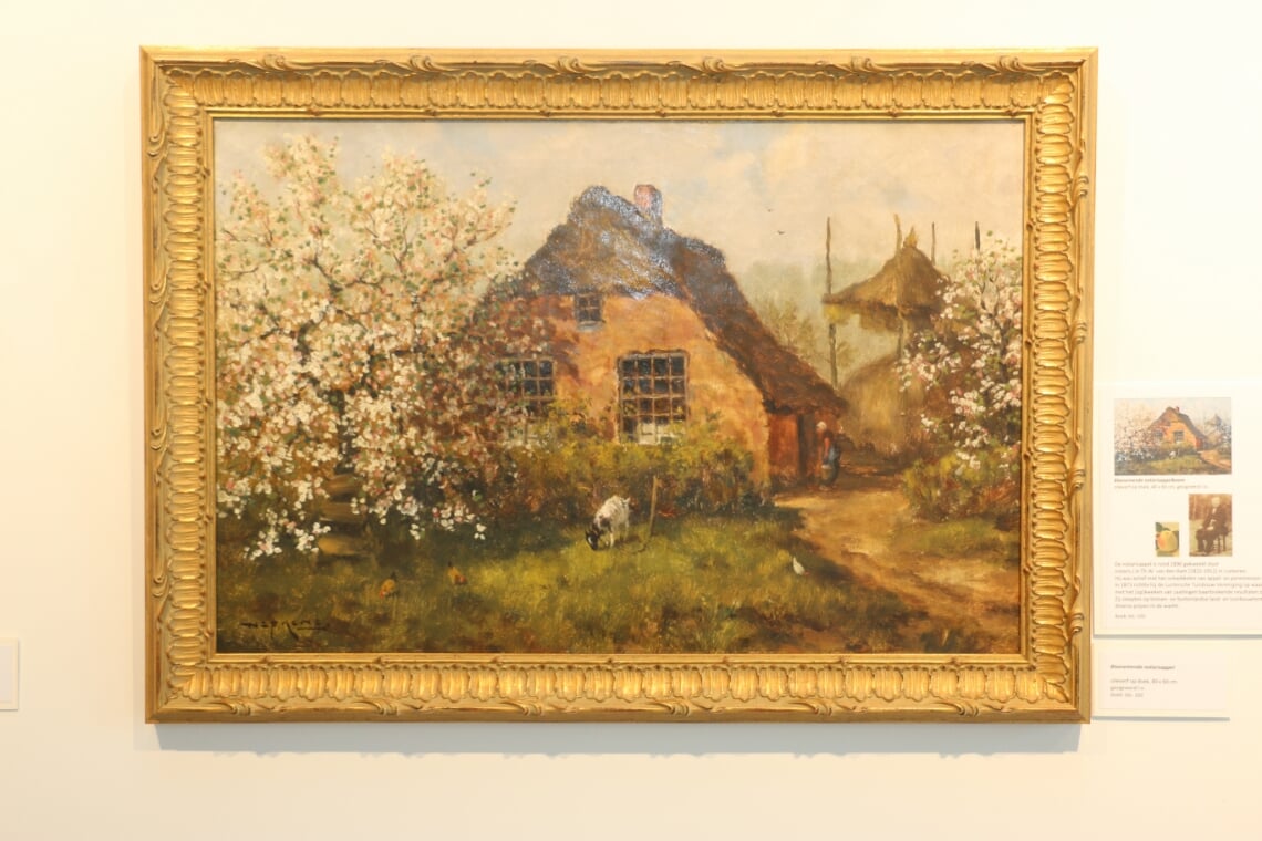 Freek Wolff