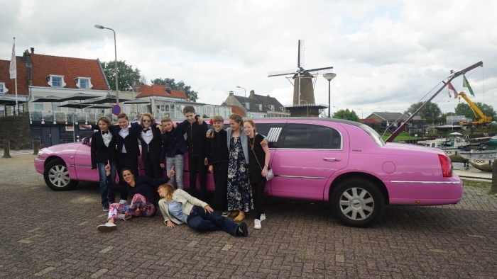 Roze zuurstok