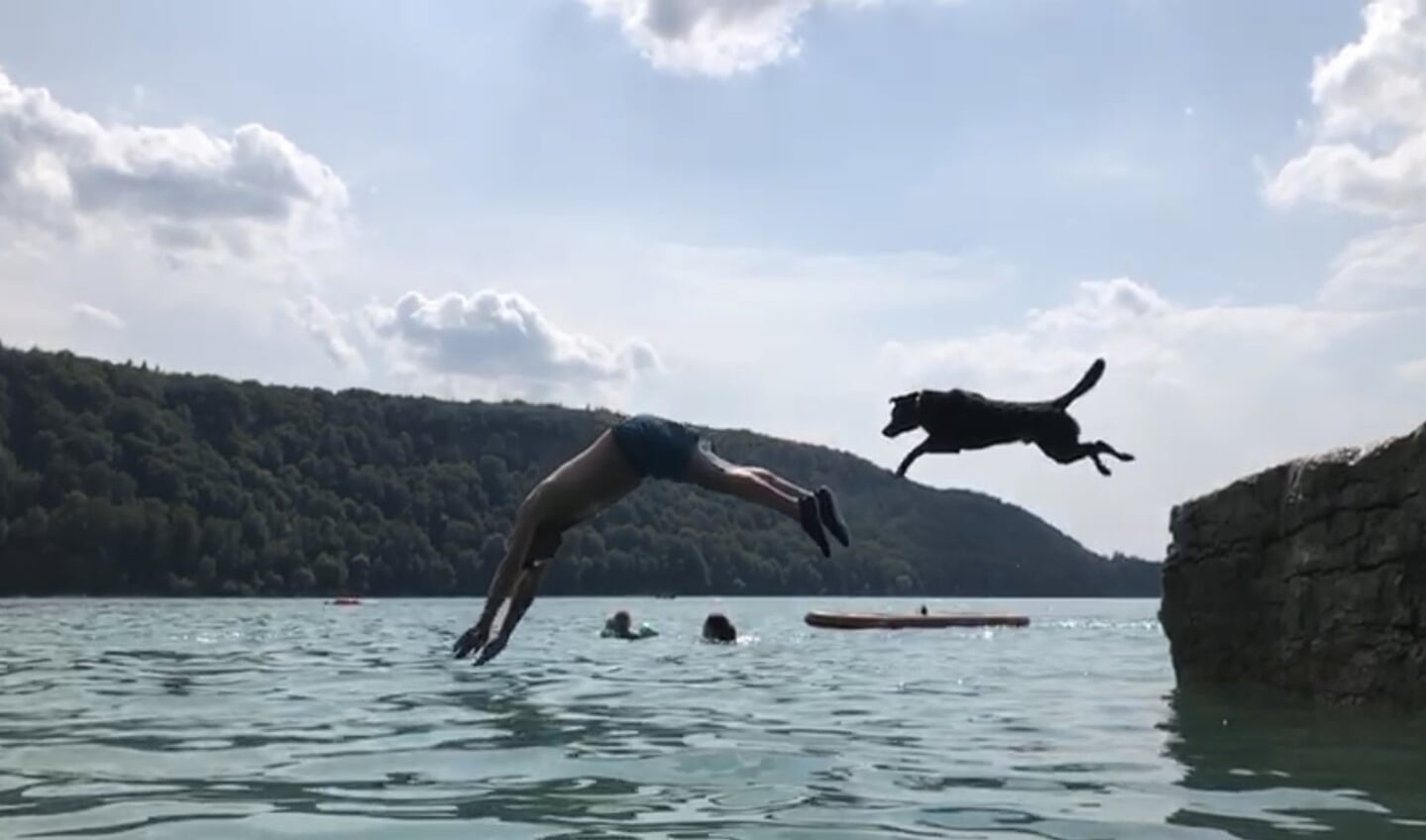 Vakantie in Frankrijk, heerlijk bij een meer. Onze hond bleek een echte waterrat; waar de baas gaat, gaat hij. Een heerlijke duik vanaf een rots gaat hij niet uit de weg.