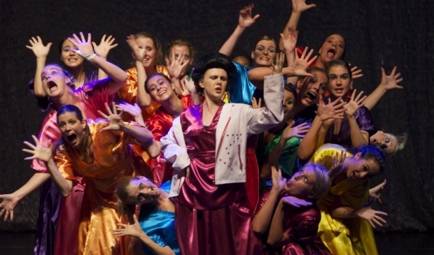 theatermaker Willem Gunneman gaat samen met de kinderen in Veluvine in één dag een voorstelling in elkaar gaat zetten en opvoeren.