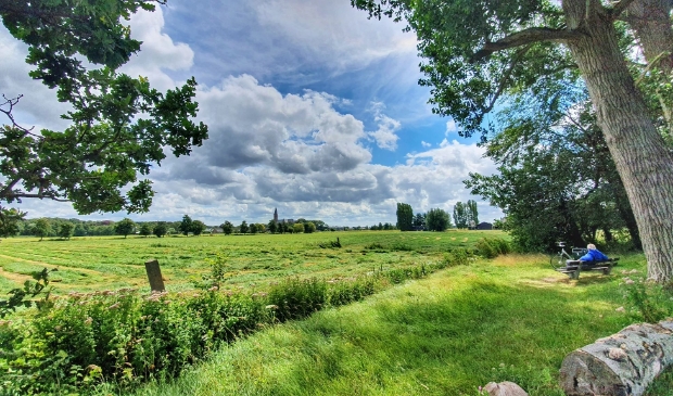 Vogelenzang.
