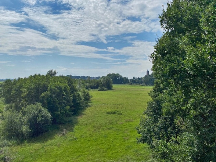 Het Amerongse Bos
