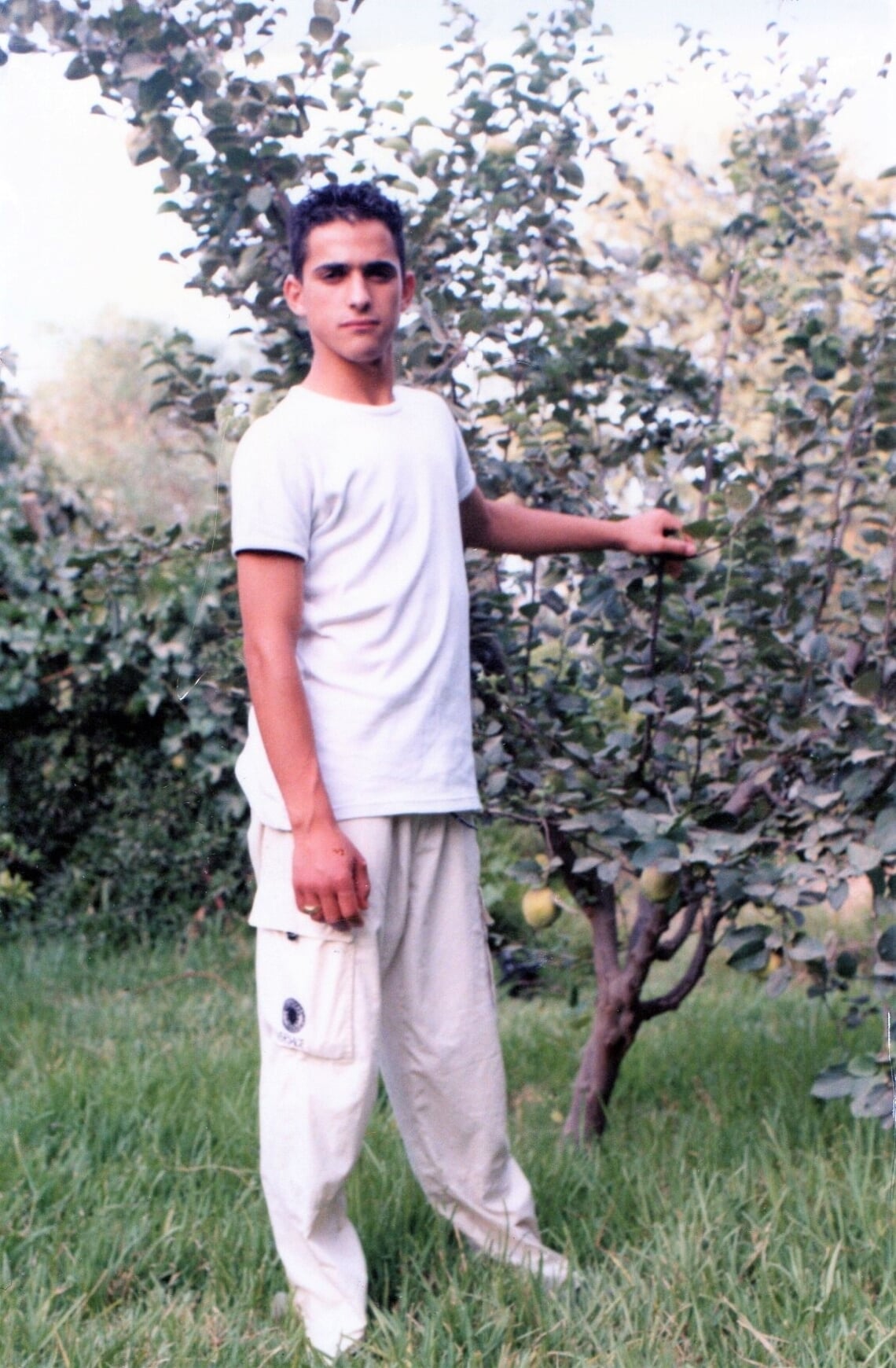 Coll. Fayssal Hamdaoui