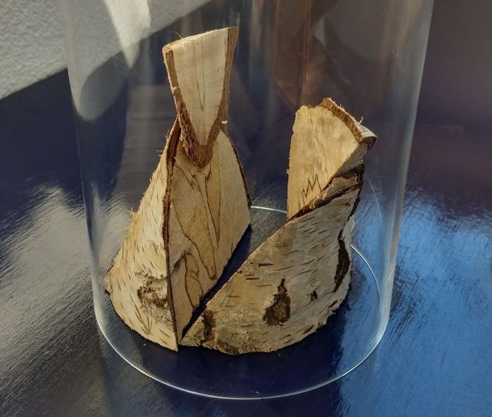 beelden hout