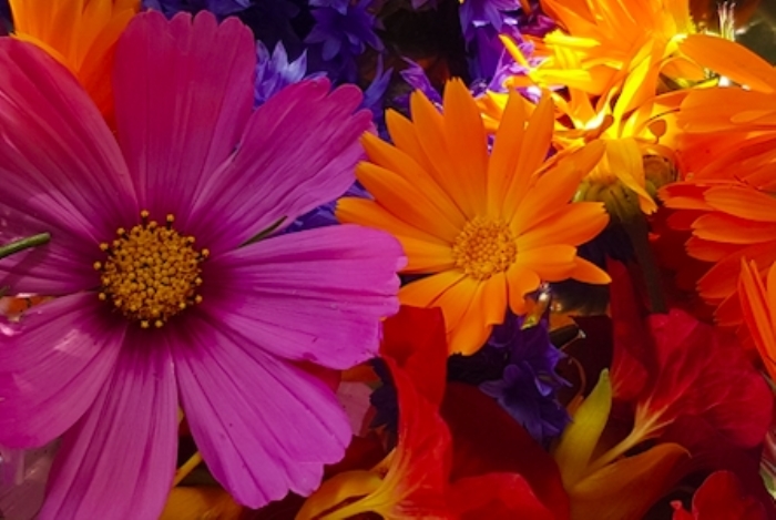 bloemen