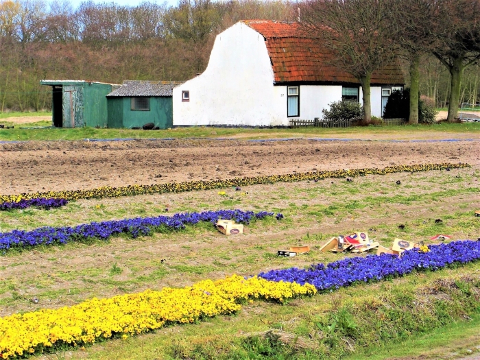 De Vlotter