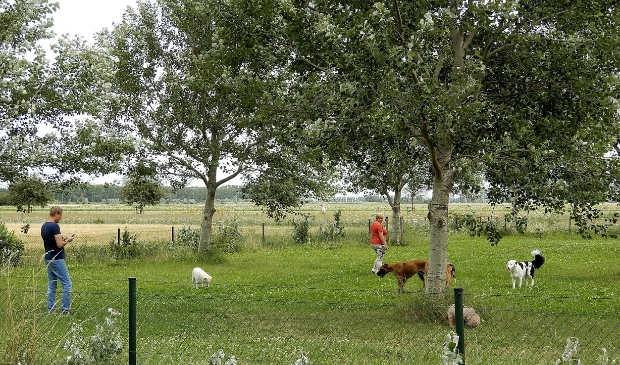 <p>Plezier voor honden in de Plesmanhoek.</p>