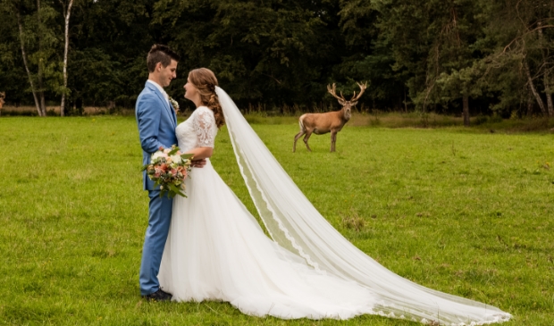 Edelhert Hubertus op één van de trouwfoto's.
