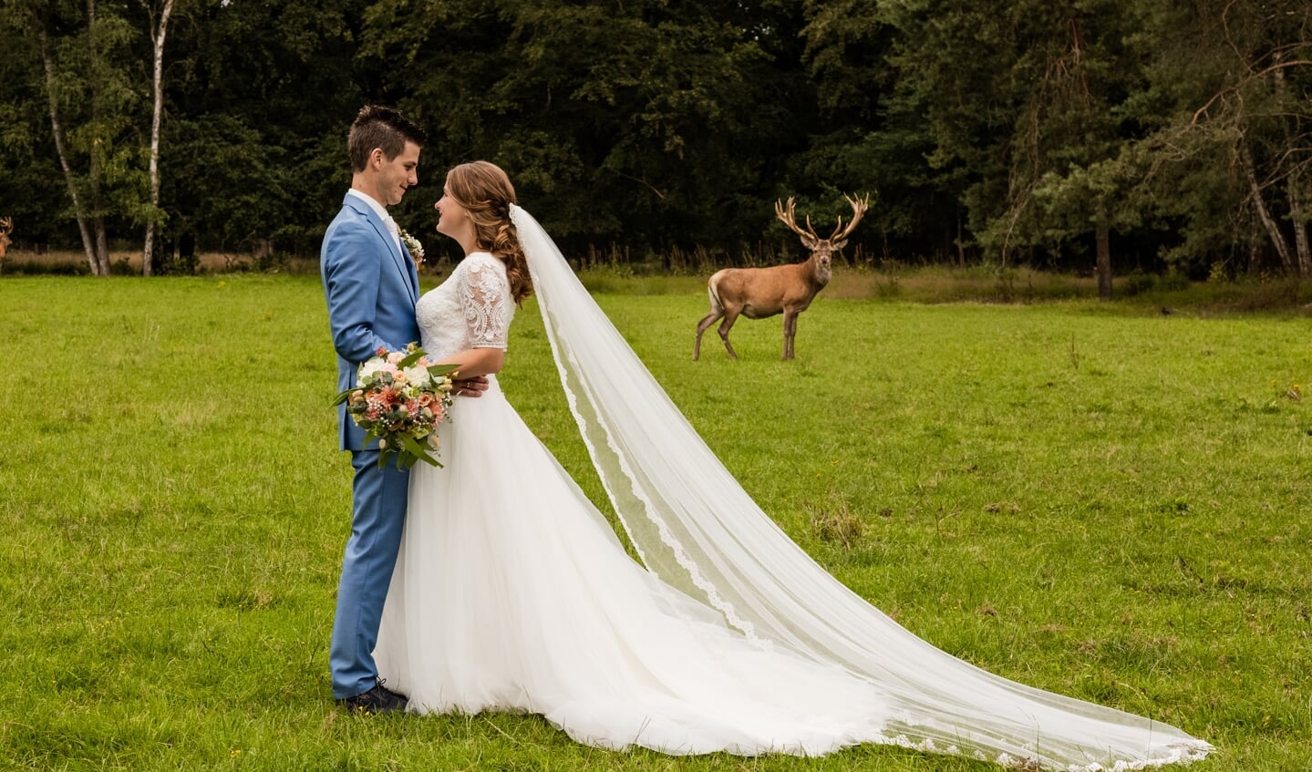 Edelhert Hubertus op één van de trouwfoto's.