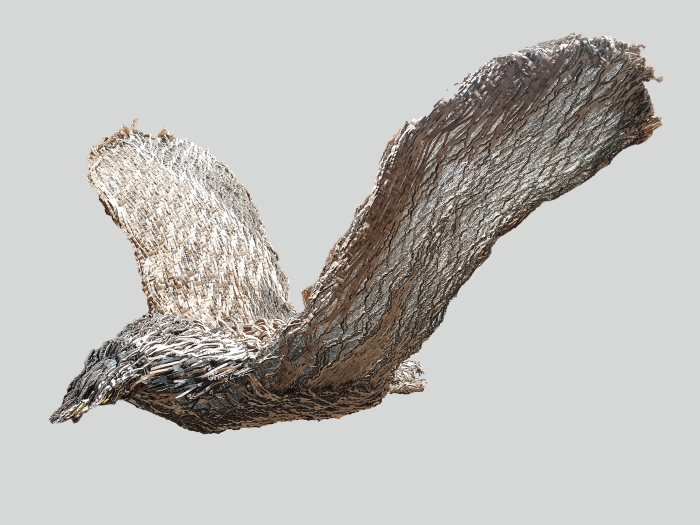 Vrijheidsvogel, van Carolien Magnus