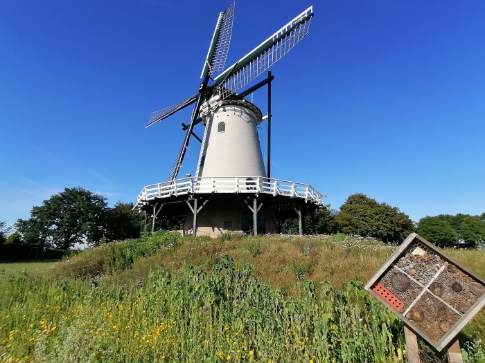 Soest biedt genoeg mogelijkheden voor fraaie plaatjes. Doe mee aan de fotowedstrijd van de HVS.