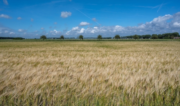 Hoe weids wil je het hebben. Een dergelijk vergezicht komt midden in de Randstad nauwelijks voor. In Haarlemmermeer wel.