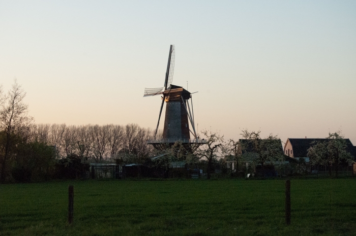 molen Rijn& Weert in Werkhoven