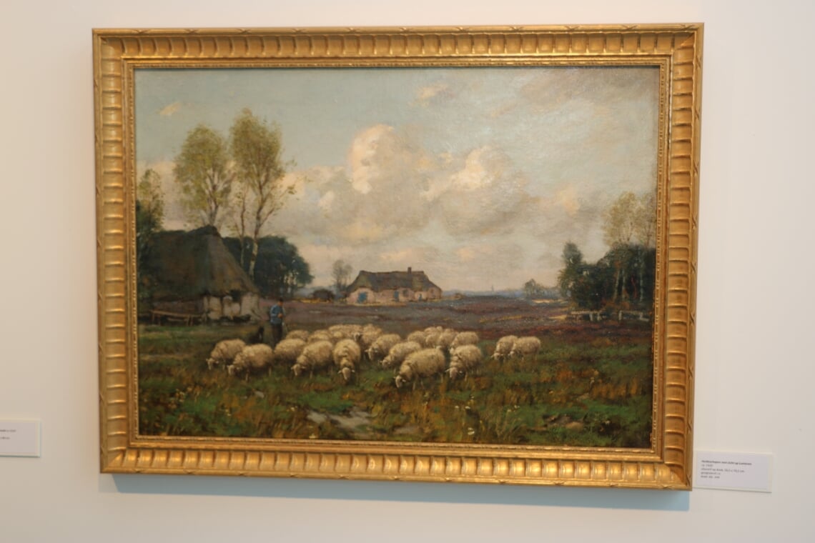Freek Wolff