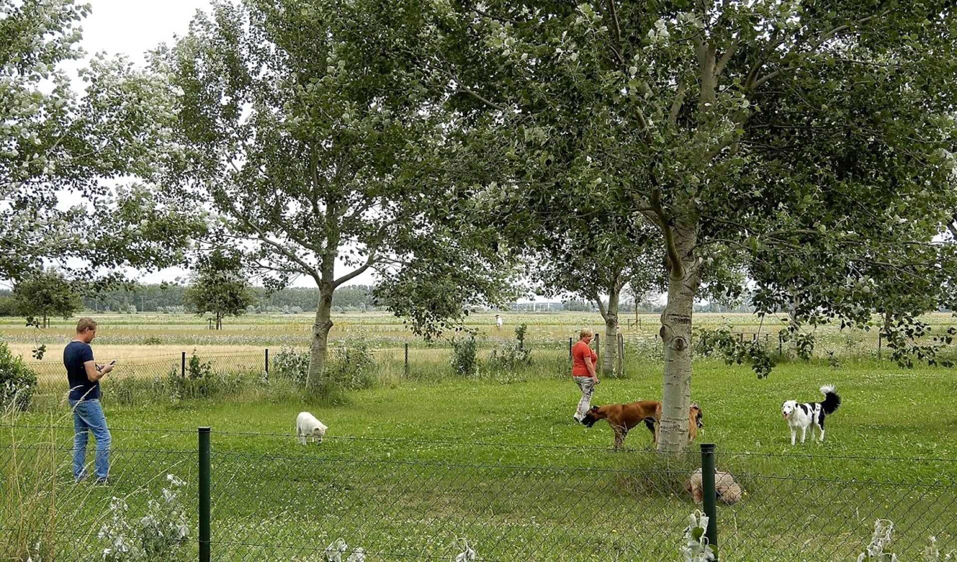 Een van de honden-losloopgebieden in Haarlemmermeer. 