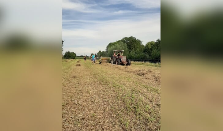 Druk aan het hooibalen persen in Ederveen. Groot en klein helpen mee om de balen binnen te halen.