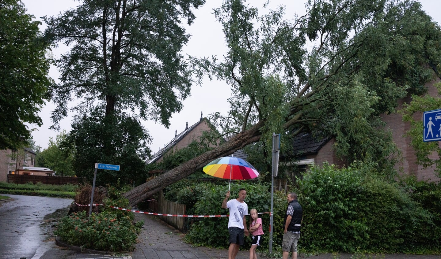 Aan de Laanzicht/De Heuvel in Woudenberg is een omgewaaide boom terechtgekomen op een woning.