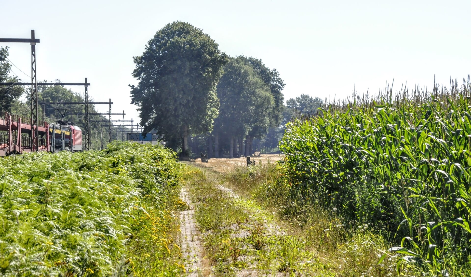 Het gebied langs het spoor bij Terschuur waar Zonnepark Terbroek is gepland.