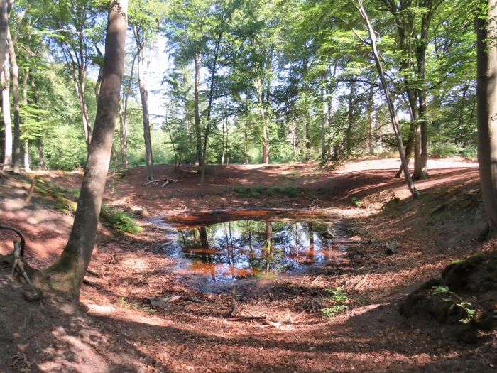 Vennetje, ‘n prachtig beschutte drinkwaterbron midden in het bos