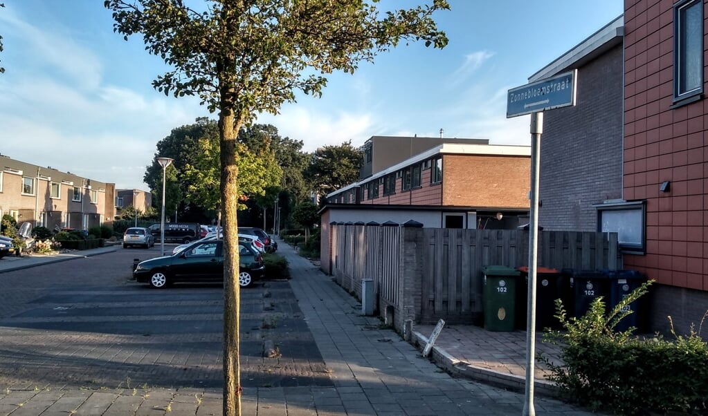 De Zonnebloemstraat in Barneveld.