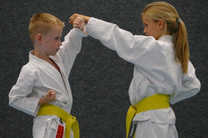 Jeugdkarateka's bij het oefenen van stoten..
