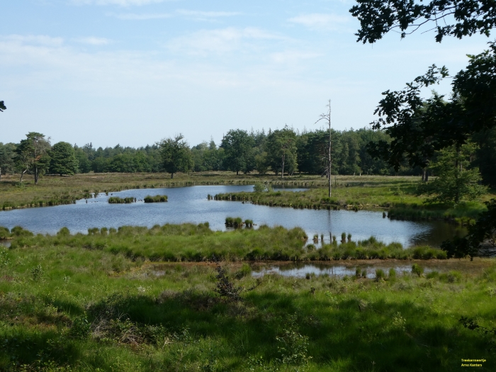 Treekermeertje