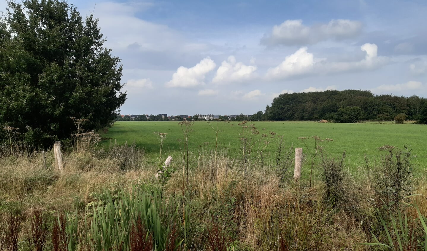 Het zoekgebied 'Tabaksteeg-Zuid', gezien vanaf de Arnhemseweg.