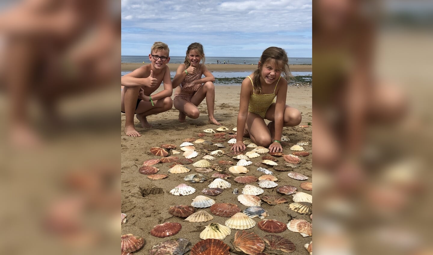 ,,David, Sara en Julia zijn op vakantie in Normandië. Ze tuurden meer dan een week het strand af om mooie schelpen te vinden. Maar daarna ontdekten ze een strand (Juno beach) vol met schelpen!!!