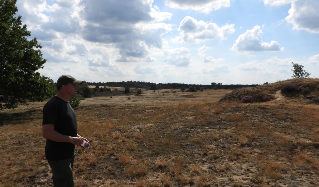 Vlinderkenner René de Graaff op het Kootwijkerzand, waar hij vorige week vier zeer zeldzame kleine heivlinders zag.