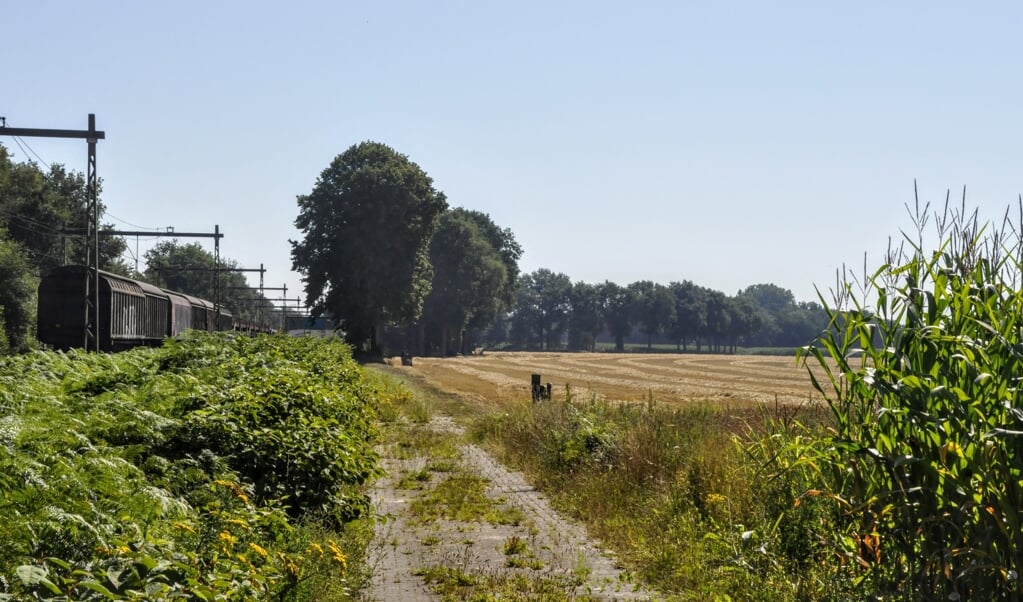Het terrein tussen de Stoutenburgerweg en Vinkelaar, langs het spoor bij Terschuur, waar 'Zonnepark Terbroek' moet komen.