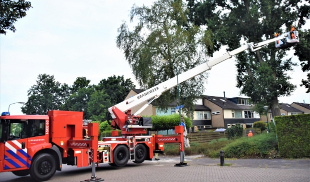 De inzet op de Titus Brandsmastraat