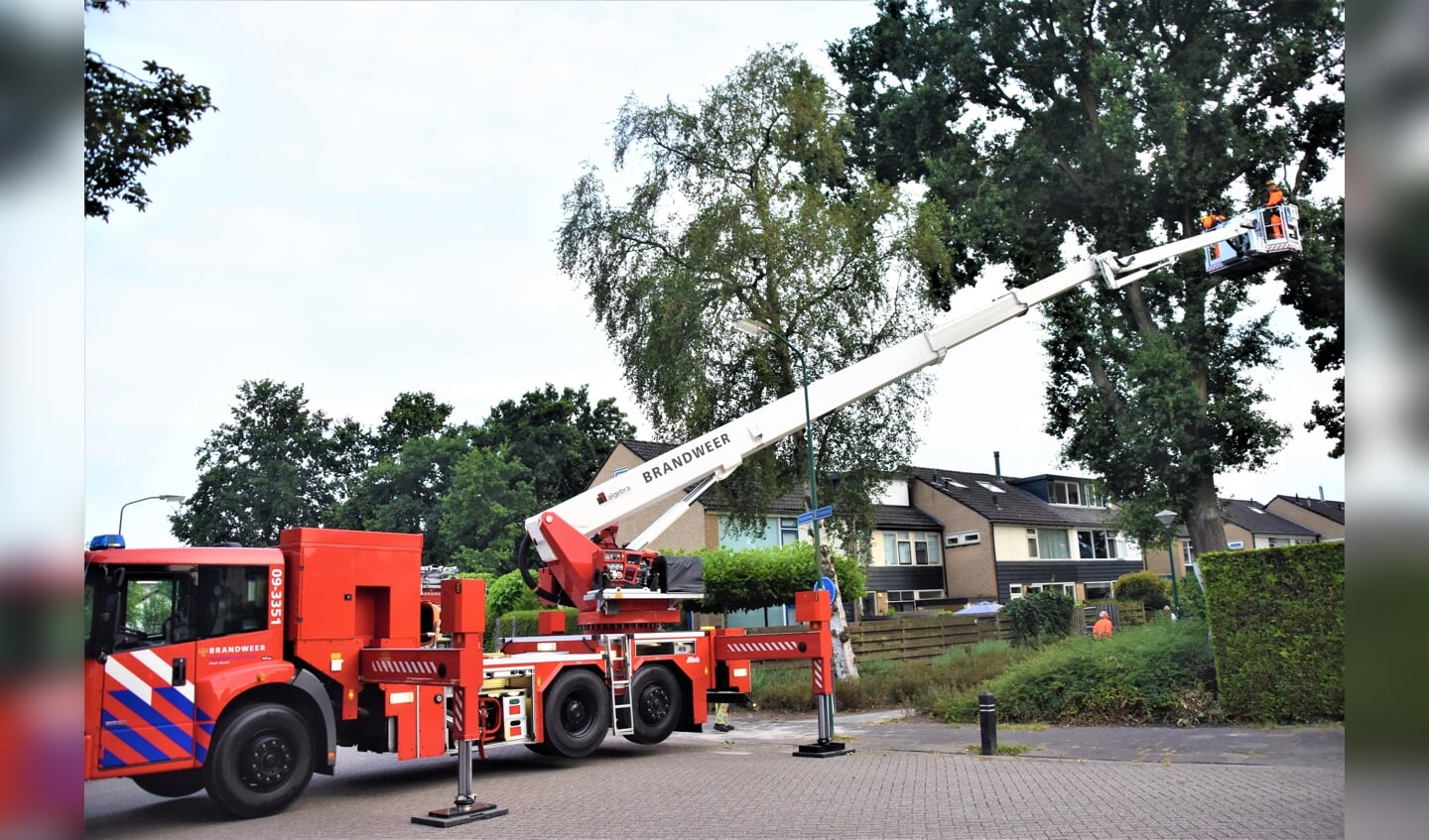 De inzet op de Titus Brandsmastraat