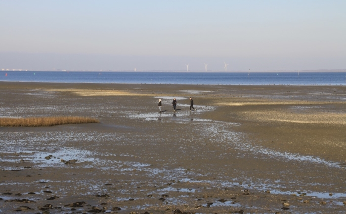 strand met wandelaars( inclusief Brigit van den Hondel)