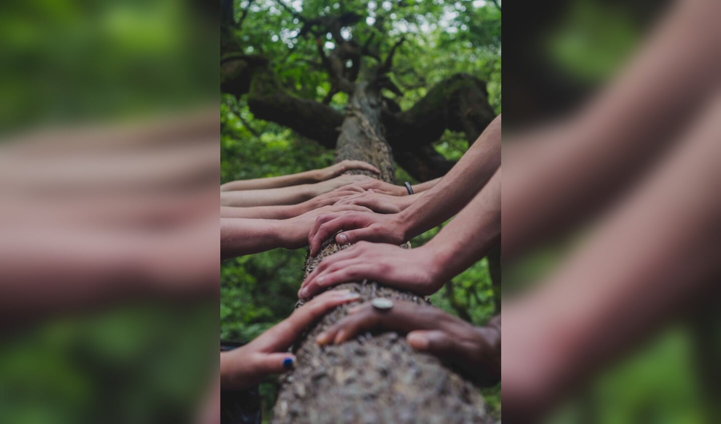 handen op boom