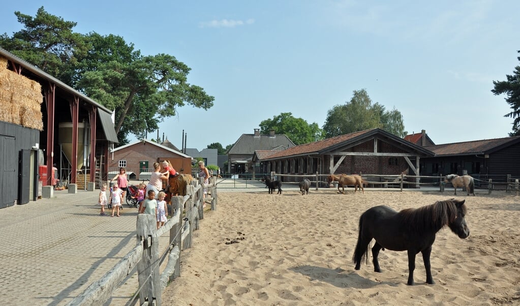 Ook deze zomer vinden veel mensen de weg naar het bejaardenhuis voor paarden.