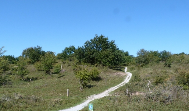 Kraansvlak Zandvoort