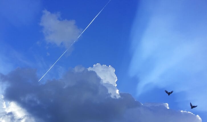 Een wolk voordat een bui losbarstte (en er toevallig een vliegtuig en twee vogels vlogen, dus niet in scene gezet of gemanipuleerd).