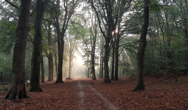 <p>Rust en stilte op Landgoed Kernhem in Ede.</p>