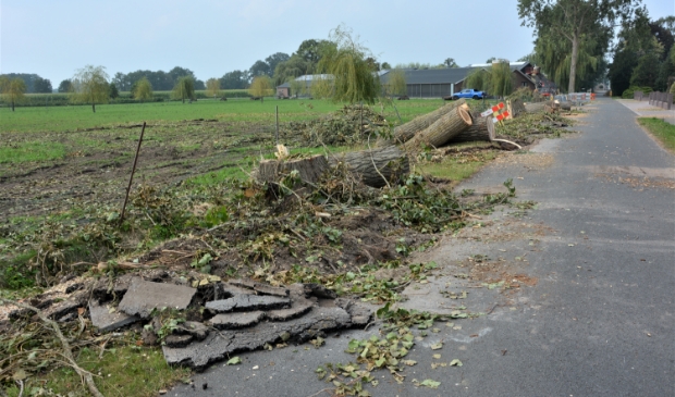 De 22 omgewaaide bomen geven een heel ander aanblik langs de Blankespoorsedijk in Lunteren