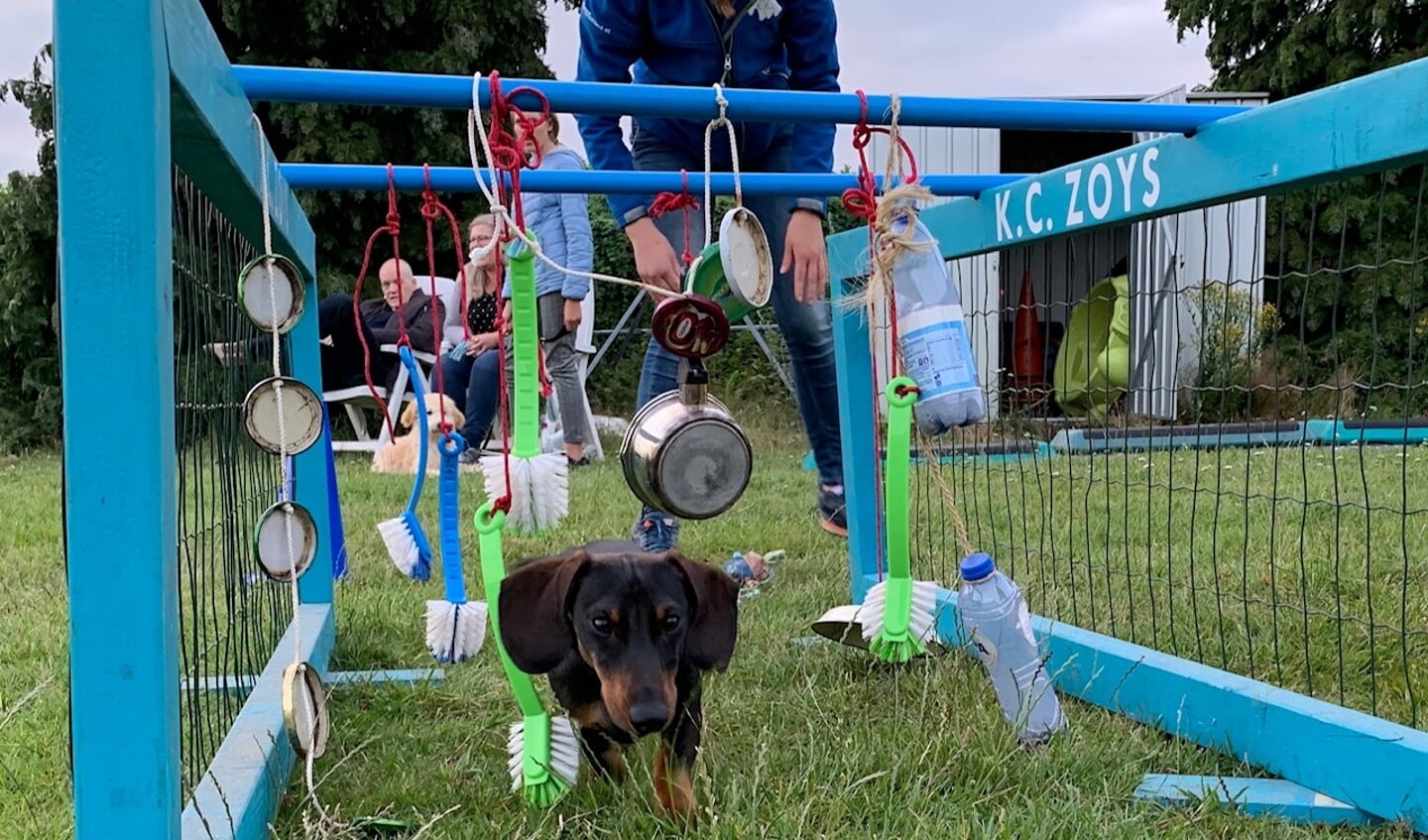 Puppycursus bij KC Zoys