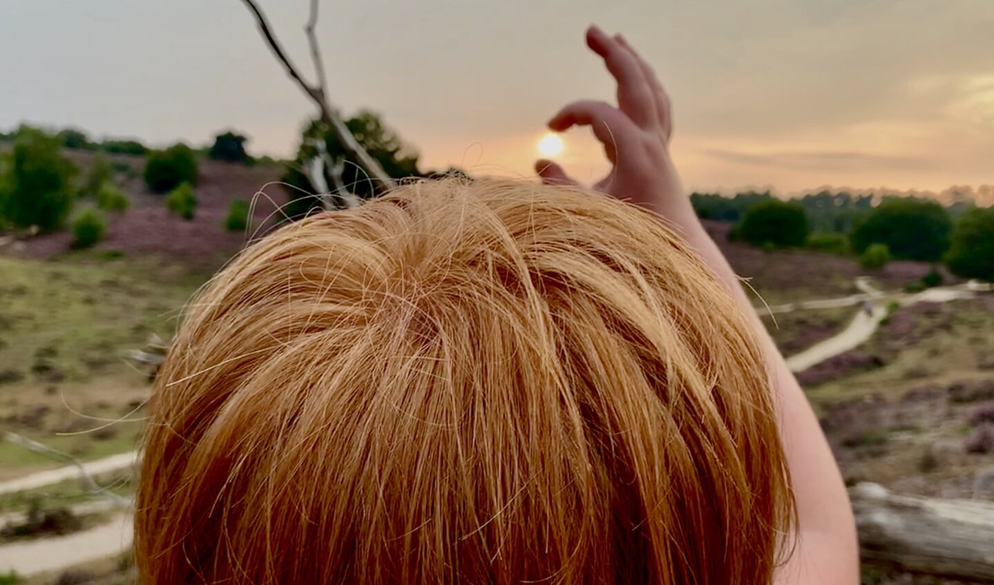 De foto is gemaakt op zaterdag 15 augustus op de Posbank. ,,
Ons zoontje Siebe wil de zon proberen te pakken tijdens onze avondwandeling waarbij we hebben genoten van de hei die zo prachtig in bloei staat!