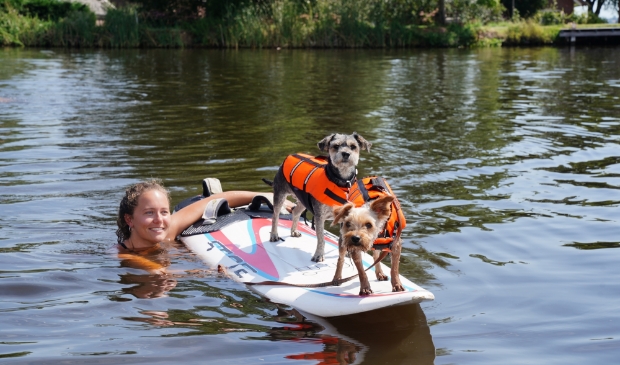 Suppen is niet alleen populair bij mensen, zo blijkt aan de Amstel. Deze honden weten prima hun balans te bewaren.